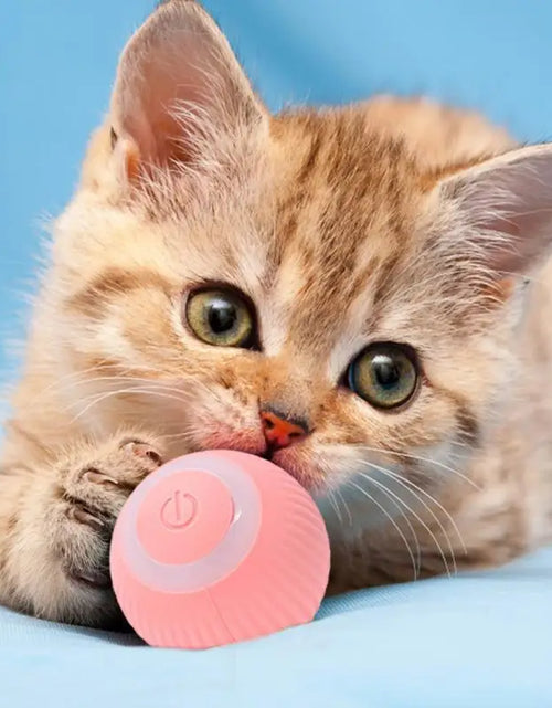 Load image into Gallery viewer, Rechargeable Cat Ball Toy Smart Automatic Rolling Kitten Toys 360 Degree Spinning Ball for Cats Usb Rechargeable Pet Toys
