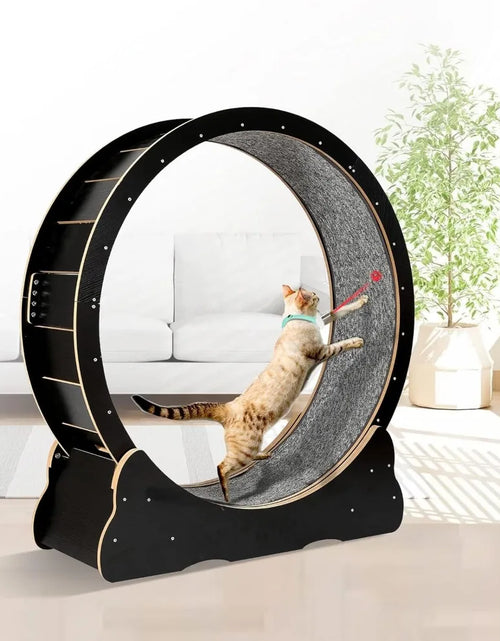 Load image into Gallery viewer, Cat Exercise Wheel for Indoor Cats Pets Easy Assembled Cat Treadmill Wheel with Locking Process and Laser Cat Toy Pet Supplies
